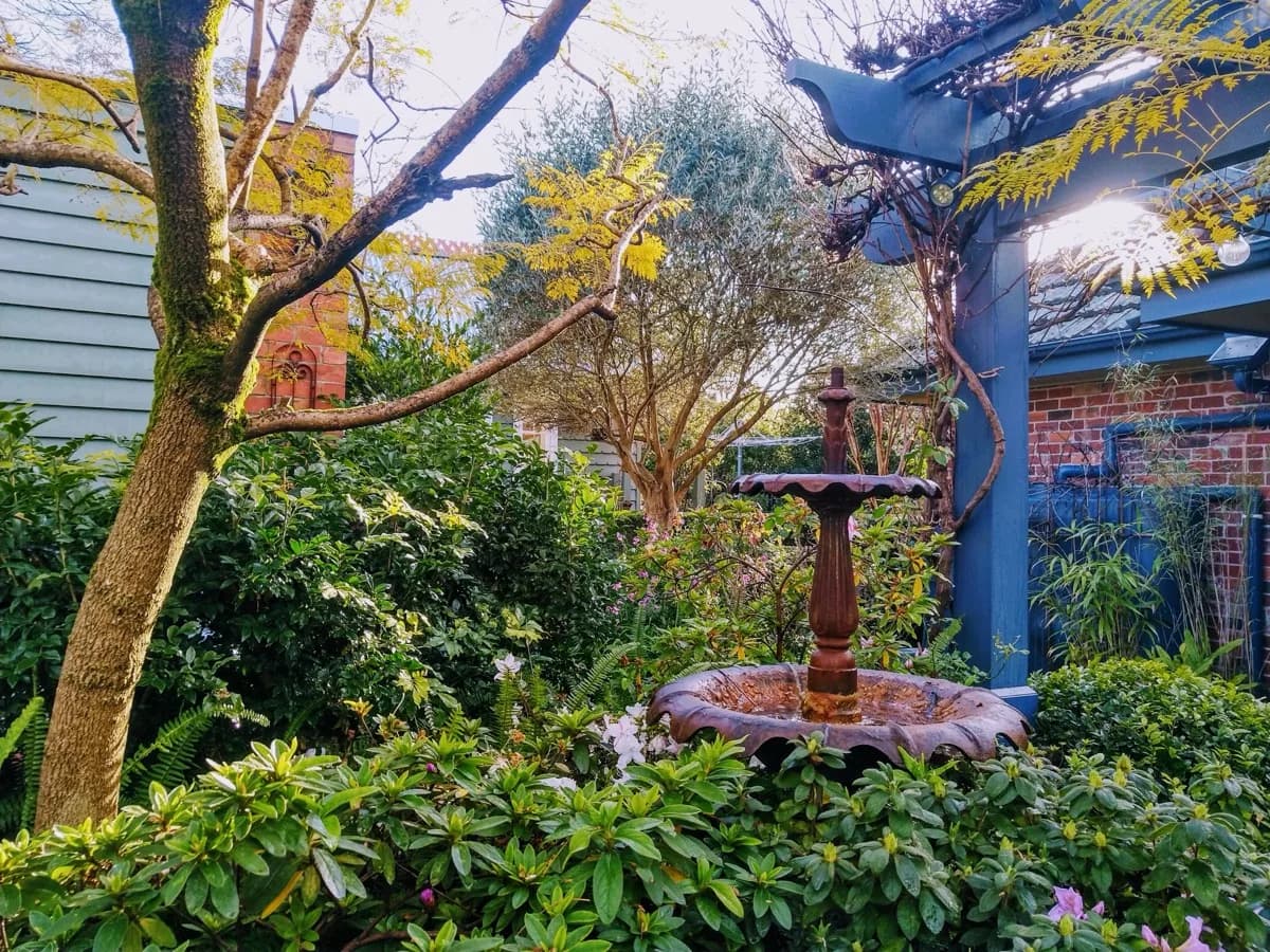 Garden Clean-Ups service by ABS Horticulture in Melbourne's eastern suburbs