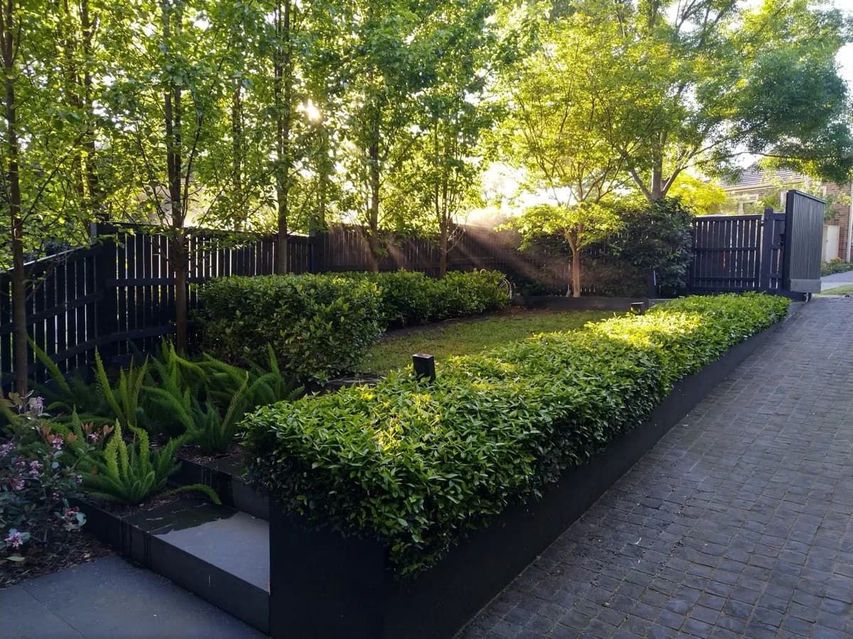 Garden Maintenance service by ABS Horticulture in Melbourne's eastern suburbs