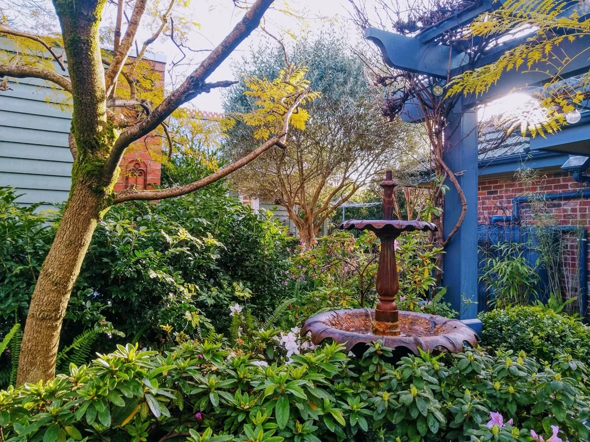 Garden Clean-Ups