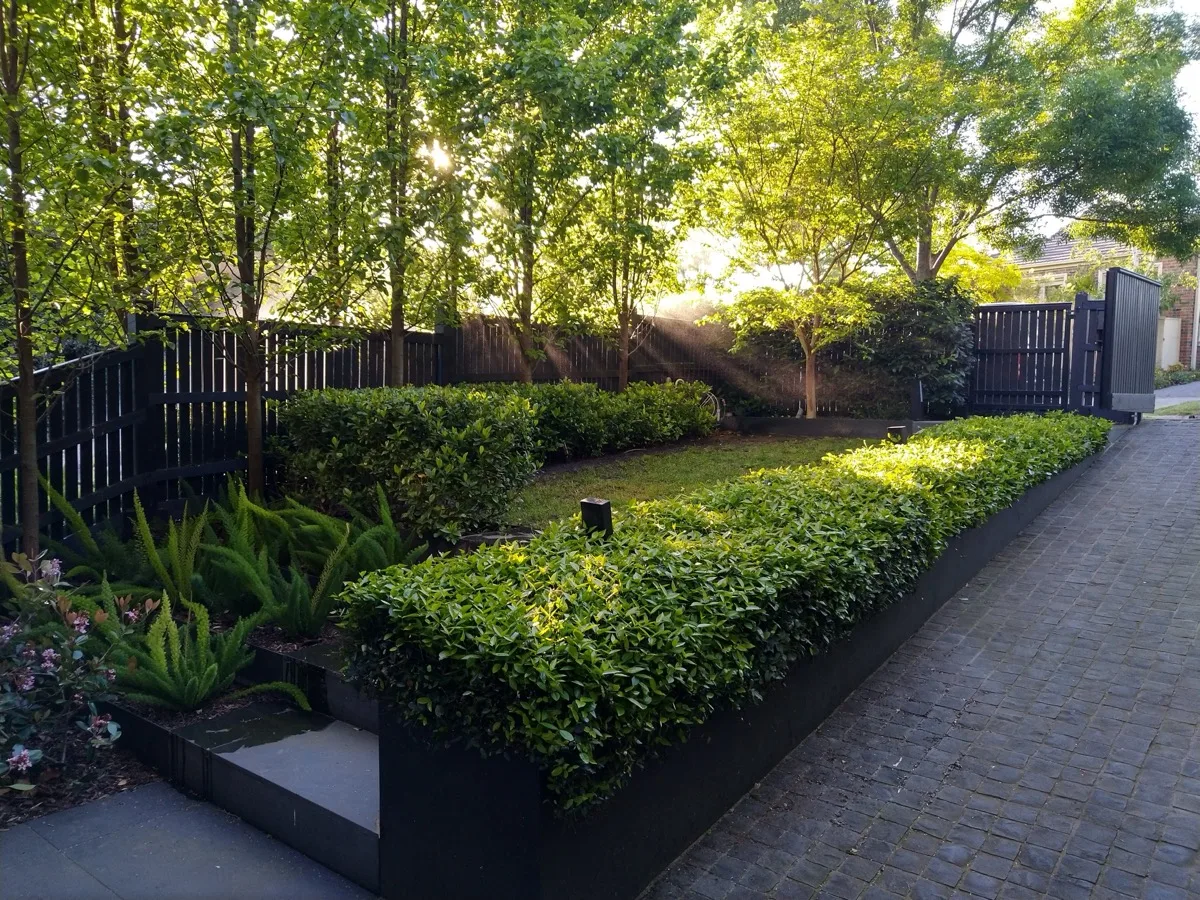 Garden Maintenance